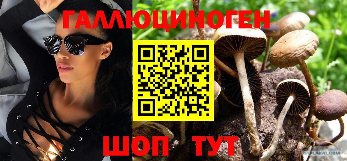 Псилоцибиновые грибы Cubensis  Псилоцибиновые грибы Cubensis  Подольск  Вход с VPN 