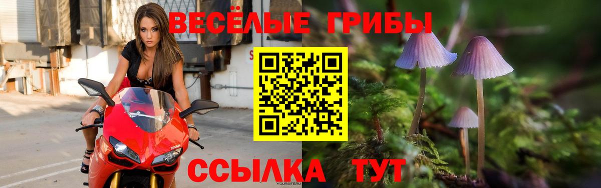 Галлюциногенные грибы ЛСД Подольск